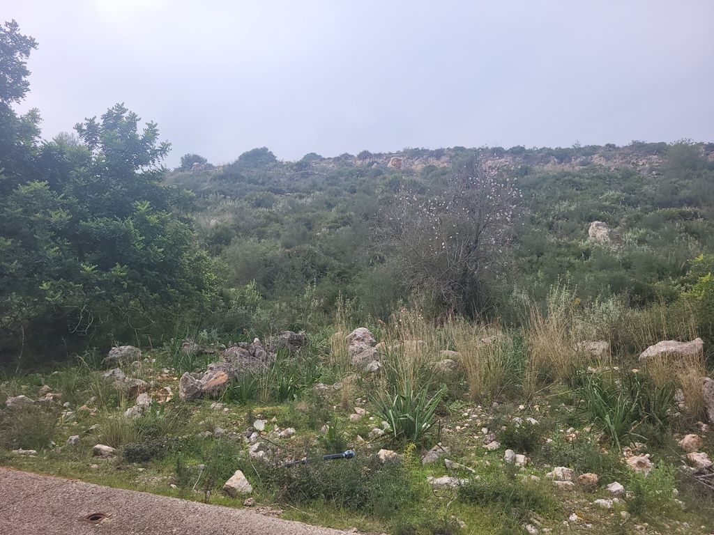 VENTA DE PARCELAS EN PEGO, PENYA ROJA