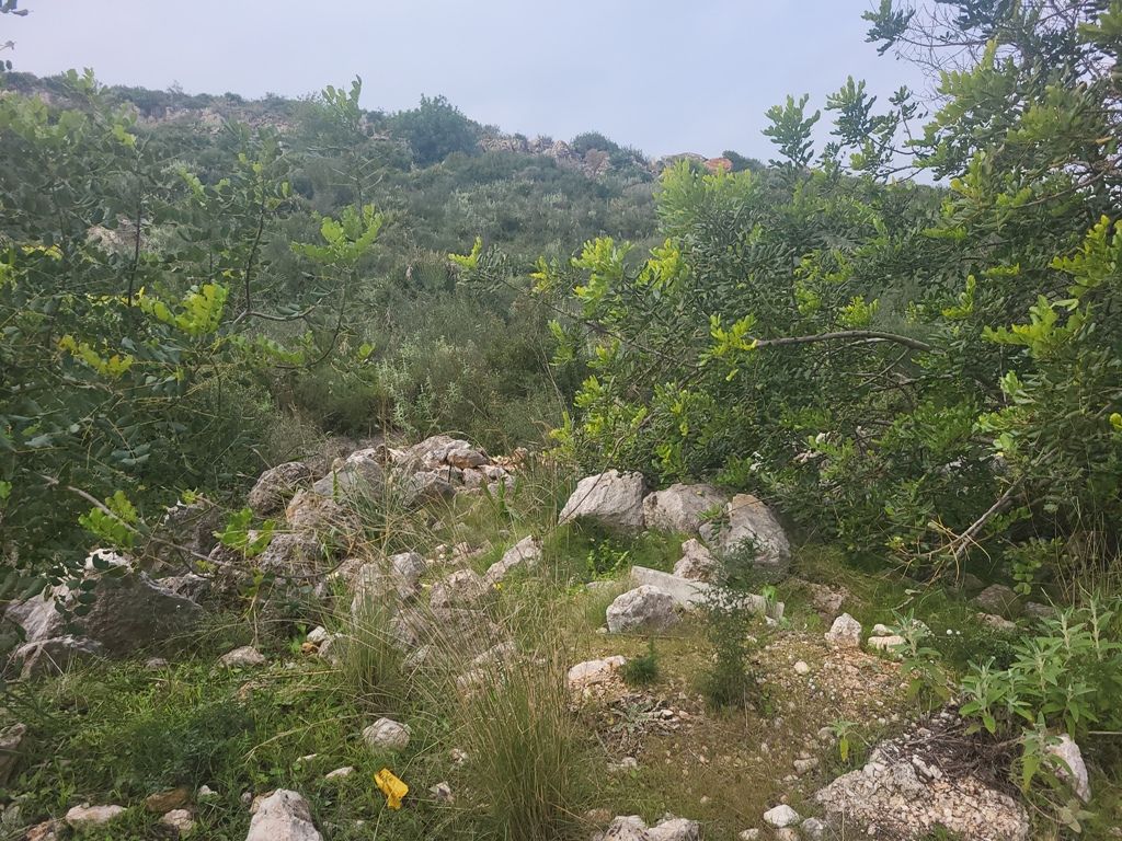 VENTA DE PARCELAS EN PEGO, PENYA ROJA