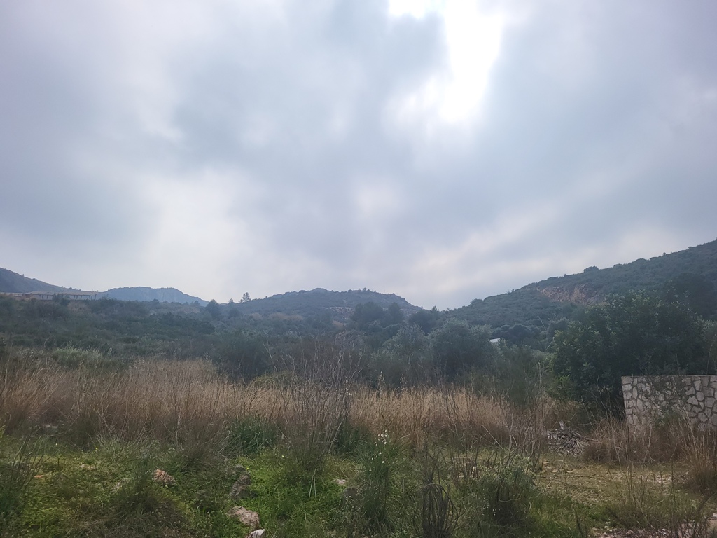 VENTA DE PARCELAS EN PEGO, PENYA ROJA