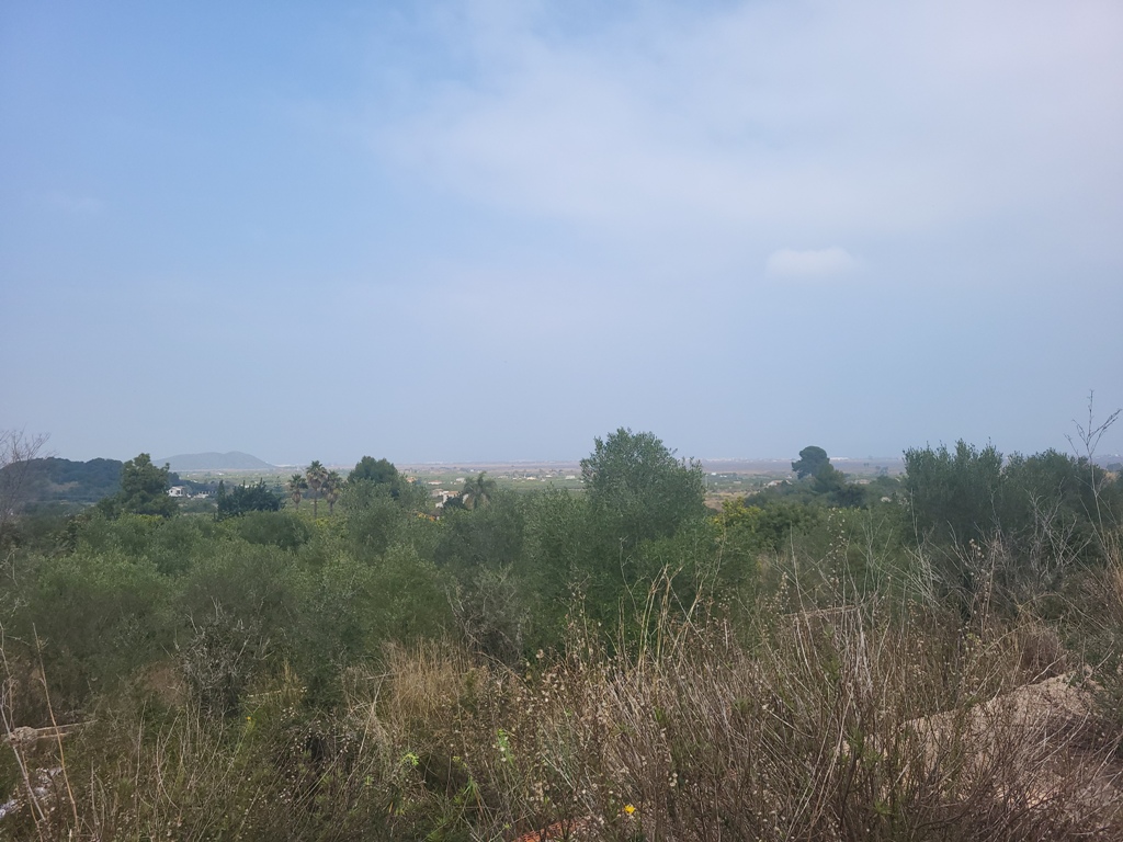 VENTA DE PARCELAS EN PEGO, PENYA ROJA